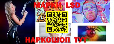 стафф Кингисепп