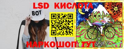 стафф Кингисепп
