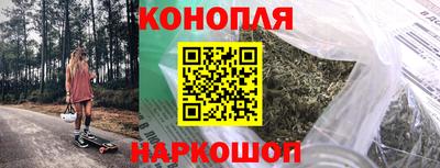 стафф Кингисепп
