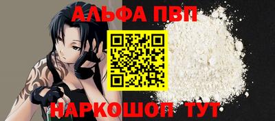 стафф Кингисепп