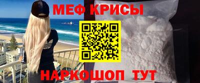 стафф Кингисепп