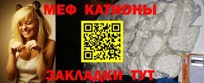 стафф Кингисепп