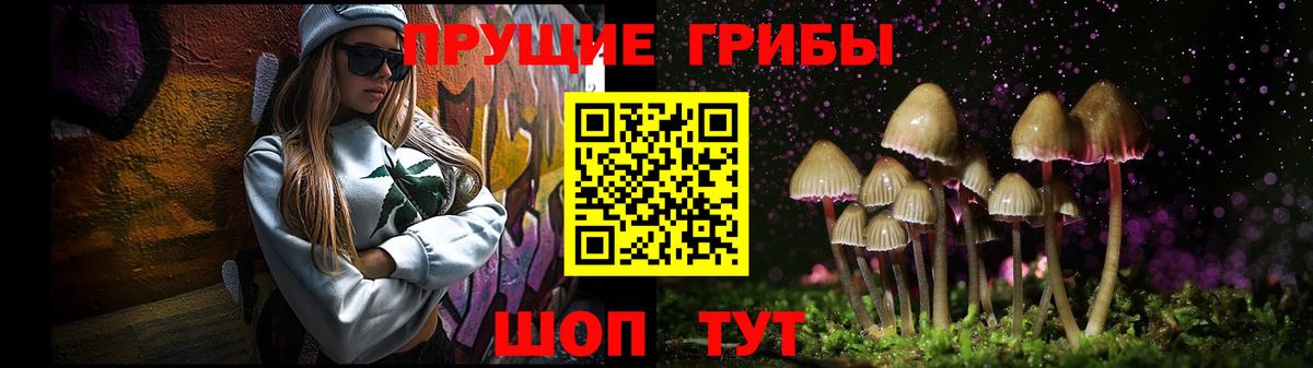 Карталы  Псилоцибиновые грибы Magic Shrooms  Вход с VPN 